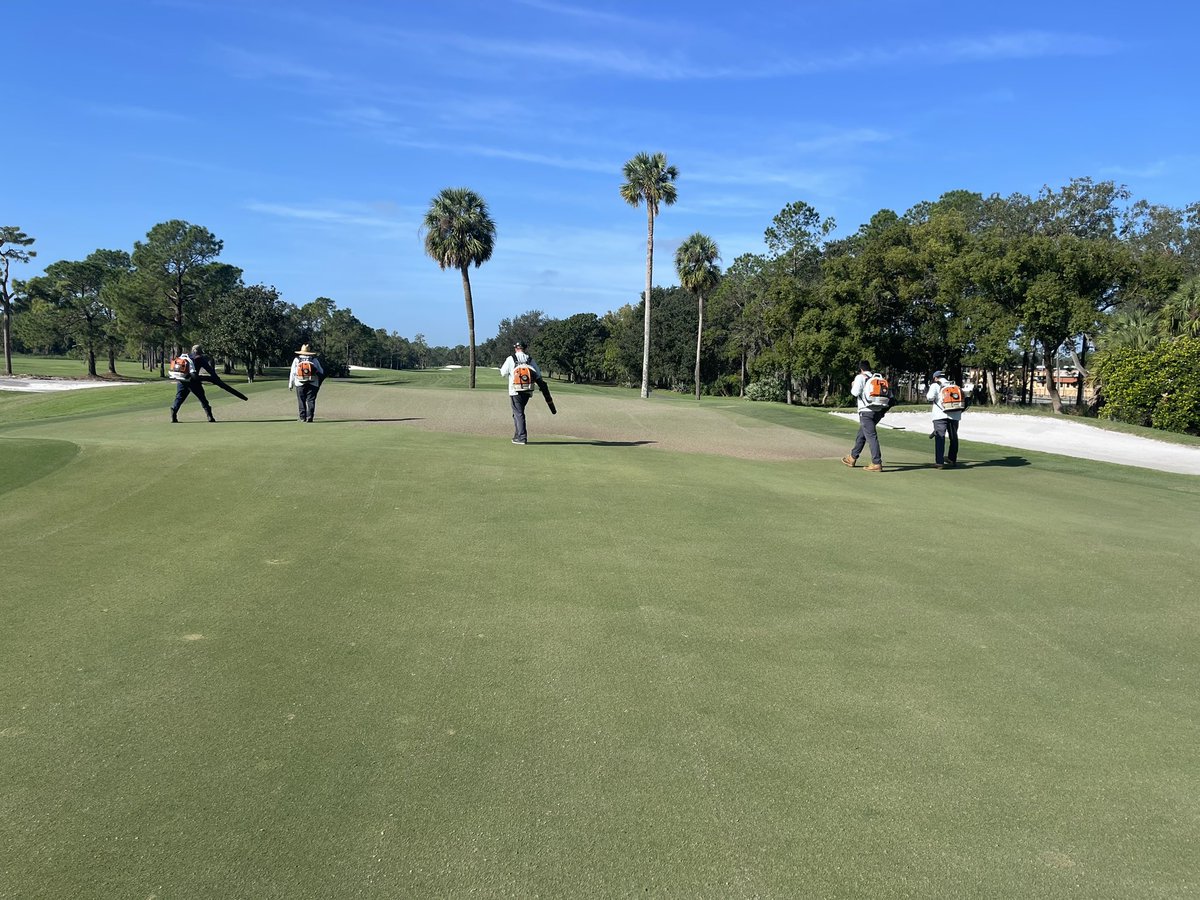 Aaron Jeffery tweet media