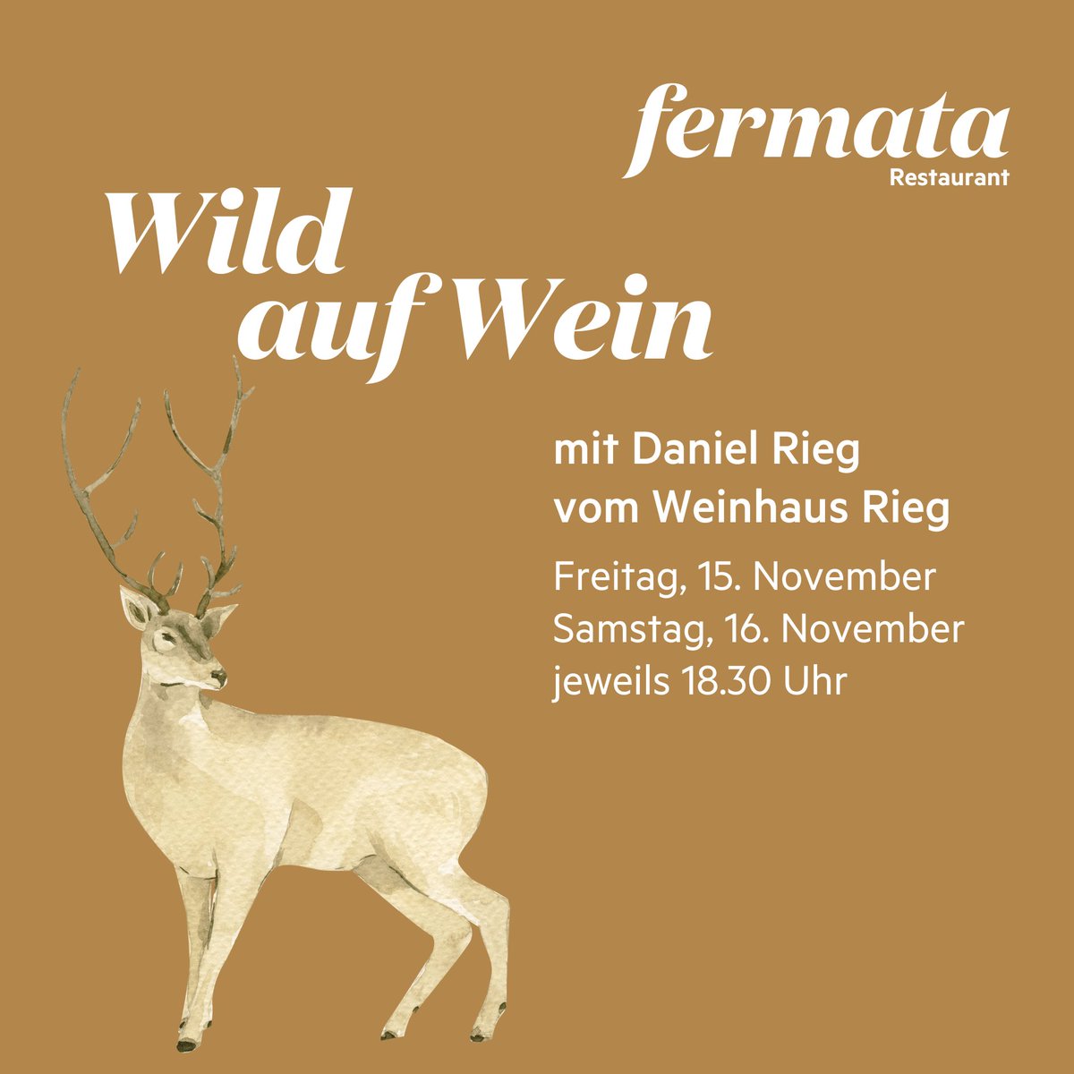 Kapfenburg's tweet photo. Wir haben noch Plätze frei - kommt vorbei! 
Zur Buchung: https://t.co/JOGLv1iNwn https://t.co/i2c405PH7b