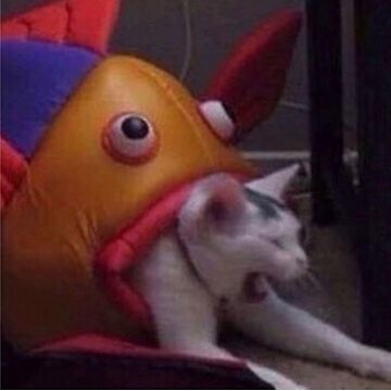 Heute um 20 Uhr geht's gegen meine alte Org <a href="/NekoEsports/">Neko Elite</a>. Es tut mir zwar im Herzen weh, aber die zwei Niederlagen müsst ihr tanken <a href="/FreshThanaTV/">FreshThana</a>