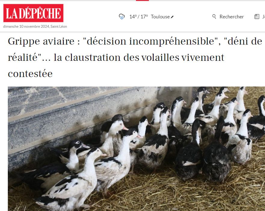 mmtchi's tweet photo. Avec la grippe aviaire le plan du #WEForum continue.
Sauf que maintenant on confine les volailles.
Sûrement un hasard malheureux: la vaccination de canards était obligatoire depuis l'automne 2023 🙄
Vous ne mangerez plus de viande &vous serez heureux? 1/2 https://t.co/vB8sXSnbgQ https://t.co/WyOP39LoRP