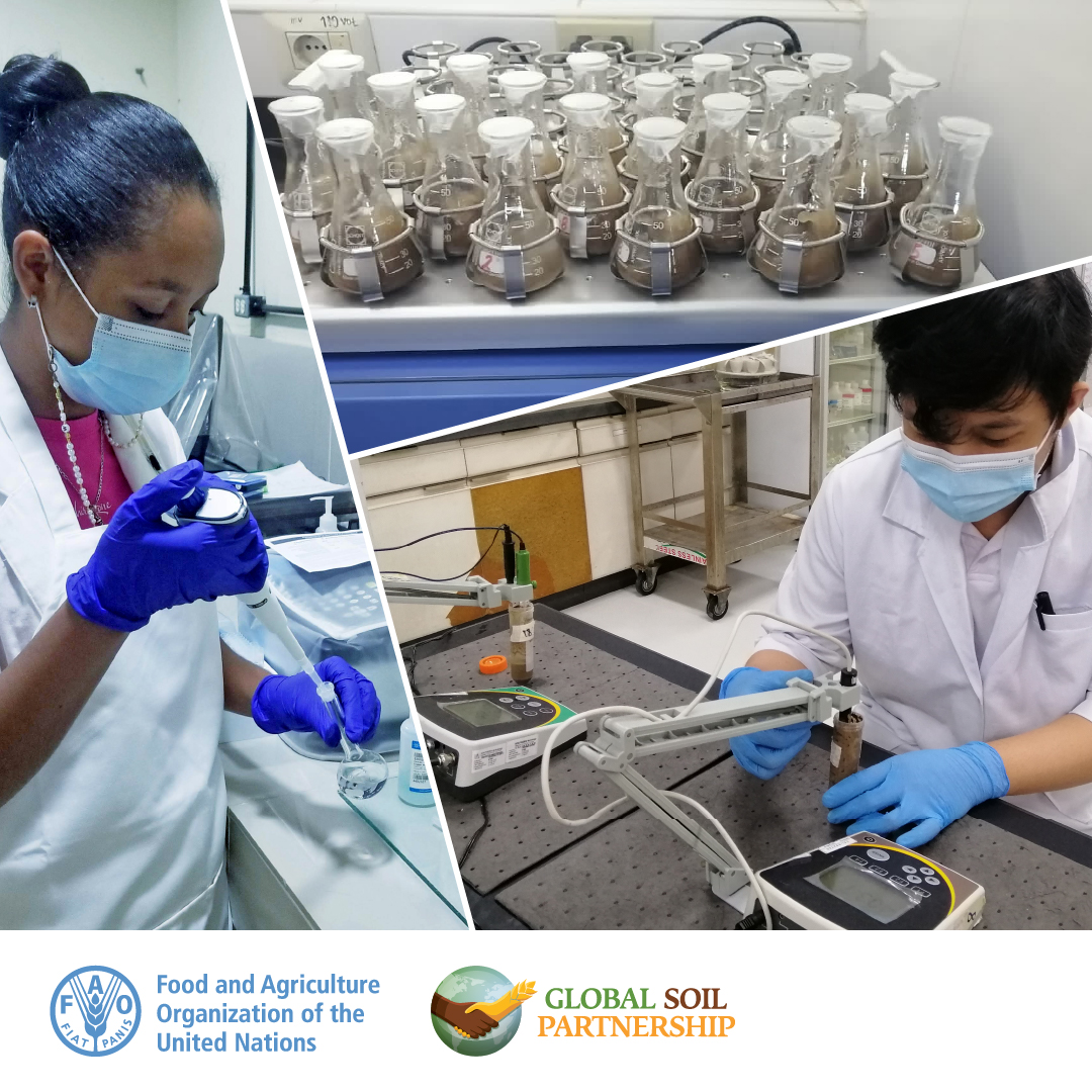 FAOLandWater's tweet photo. "Pleased to kick off the 8th #GLOSOLAN meeting! Reliable soil data is vital for #SustainableSoilManagement & #FoodSecurity! GLOSOLAN unites + 1 200 soil laboratories worldwide to provide guidance for soil analysis, shaping better decisions for all." @LI_Lifeng_FAO #SoilHealth https://t.co/Hn9RWiAGPb