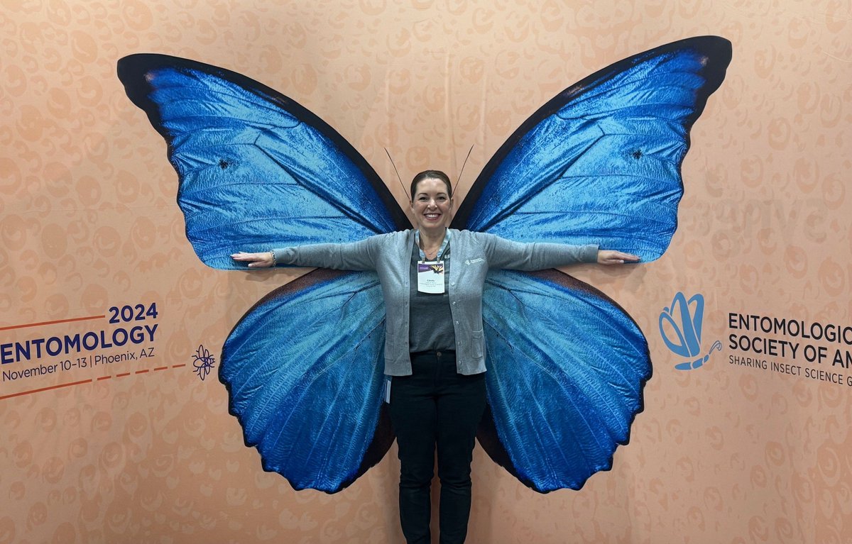 Entomological Society of America tweet media