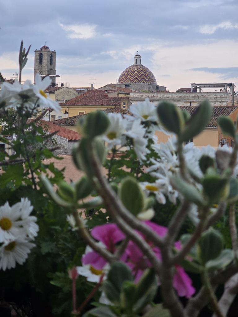 Marellagiov's tweet image. Dalla finestra. #marellagiovannelli #chiesadisanpaolo #throughthewindow #olbia #dallafinestra #sardegna #sardinia #fiori #flowers