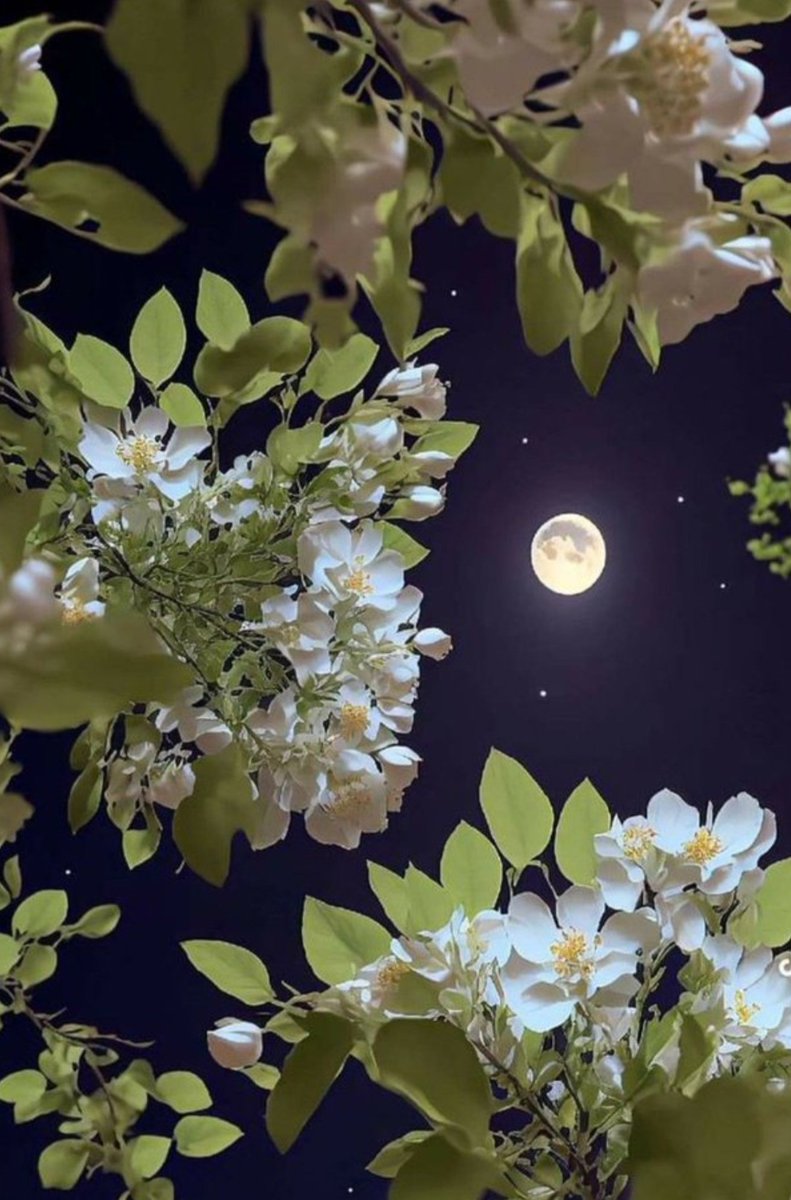 Talking with the moon 

Good night my 'X' family 

Have a great night