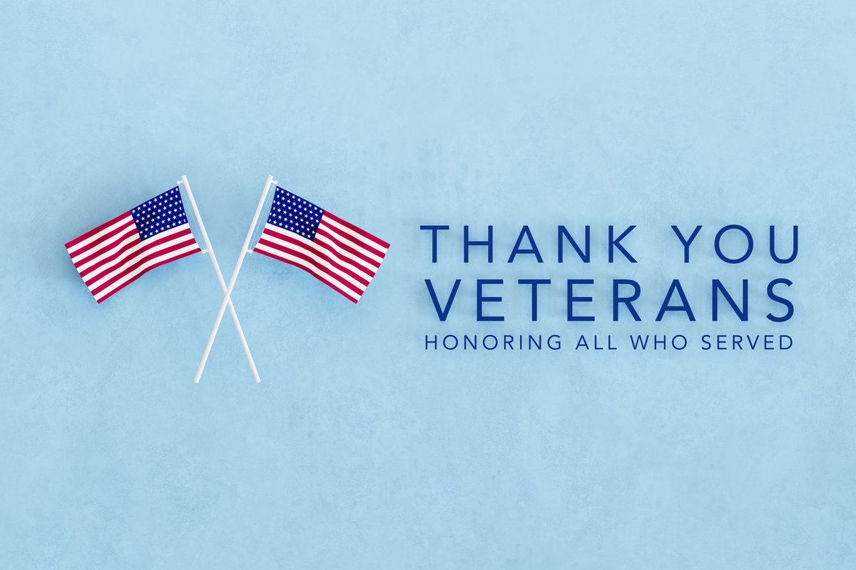 🇺🇸 Today, we honor and thank the brave men and women who have served our country. At Sedona Learning Solutions, we are deeply grateful for the sacrifices made by our veterans. Your dedication inspires us every day. Happy Veterans Day! #VeteransDay #ThankYouVeterans