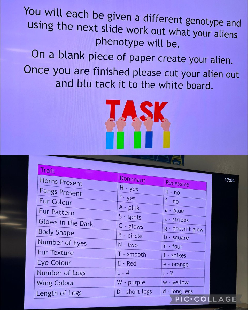 BoclairBiology's tweet photo. S4 Biologists utilised our amazing Science plaza to consolidate their knowledge of inheritance and variation. They were given different genotypes &amp; had to work out the phenotype of their monster! 🧬🧬 @BoclairAcademy https://t.co/SiwfgvznnA
