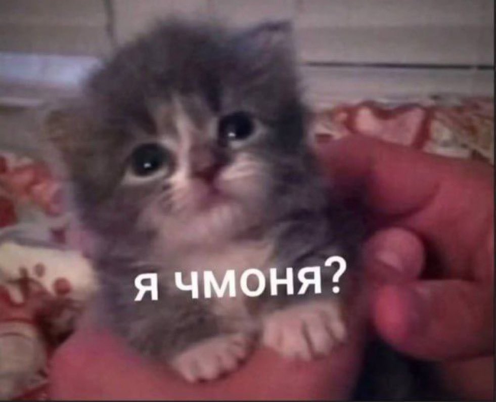 Когда зашёл в твиттер и увидел, что кому-то приходят поступления по 500 тысяч, а у тебя на карте 2 рубля