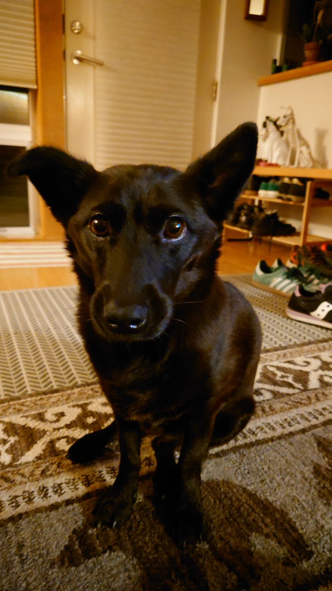 bsky.app/profile/wxsher…