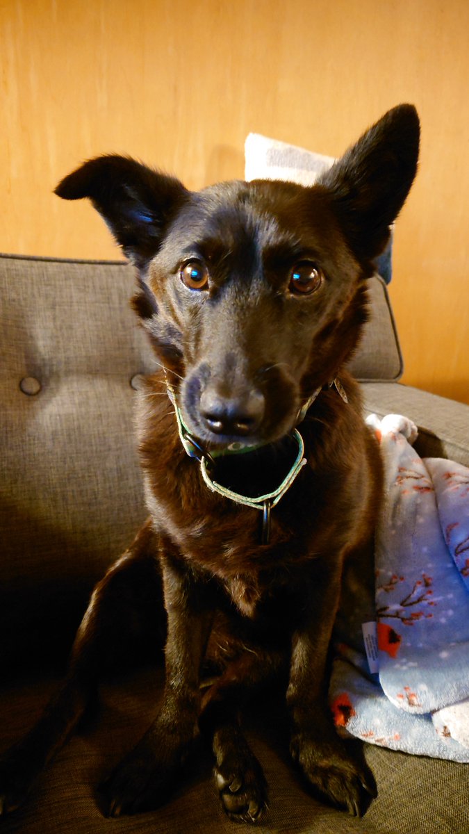 threads.net/@wxsherri?invi…