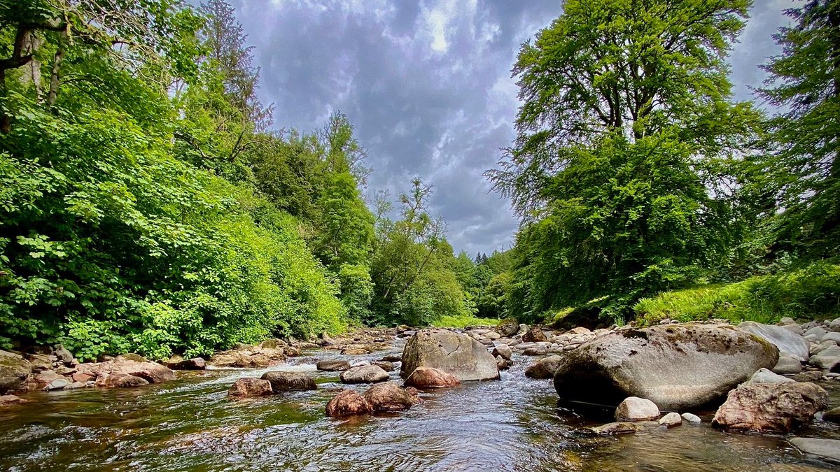 Scottish Invasive Species Initiative (@sisi_project) on Twitter photo 📢 We're looking for a Project Officer to cover the Esk catchments! 📢
The <a href="/SISI_project/">Scottish Invasive Species Initiative</a> controls #INNS along rivers & waterways in N. Scotland. Our POs work with volunteers, communities & local land owners to tackle American mink, giant hogweed, Japanese knotweed - and more! 1/2 📢 We're looking for a Project Officer to cover the Esk catchments! 📢
The <a href="/SISI_project/">Scottish Invasive Species Initiative</a> controls #INNS along rivers & waterways in N. Scotland. Our POs work with volunteers, communities & local land owners to tackle American mink, giant hogweed, Japanese knotweed - and more! 1/2