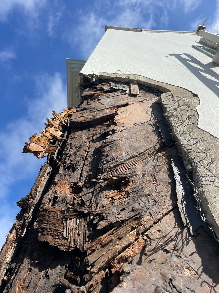 __apf__'s tweet image. spent a year annoyed by a mysterious musty smell in our new house that I couldn't get rid of with cleaning. my husband couldn't smell it and thought I'd gone nuts. we were both correct: turns out a big wood beam was rotten in the area that smelled bad (all fixed now)