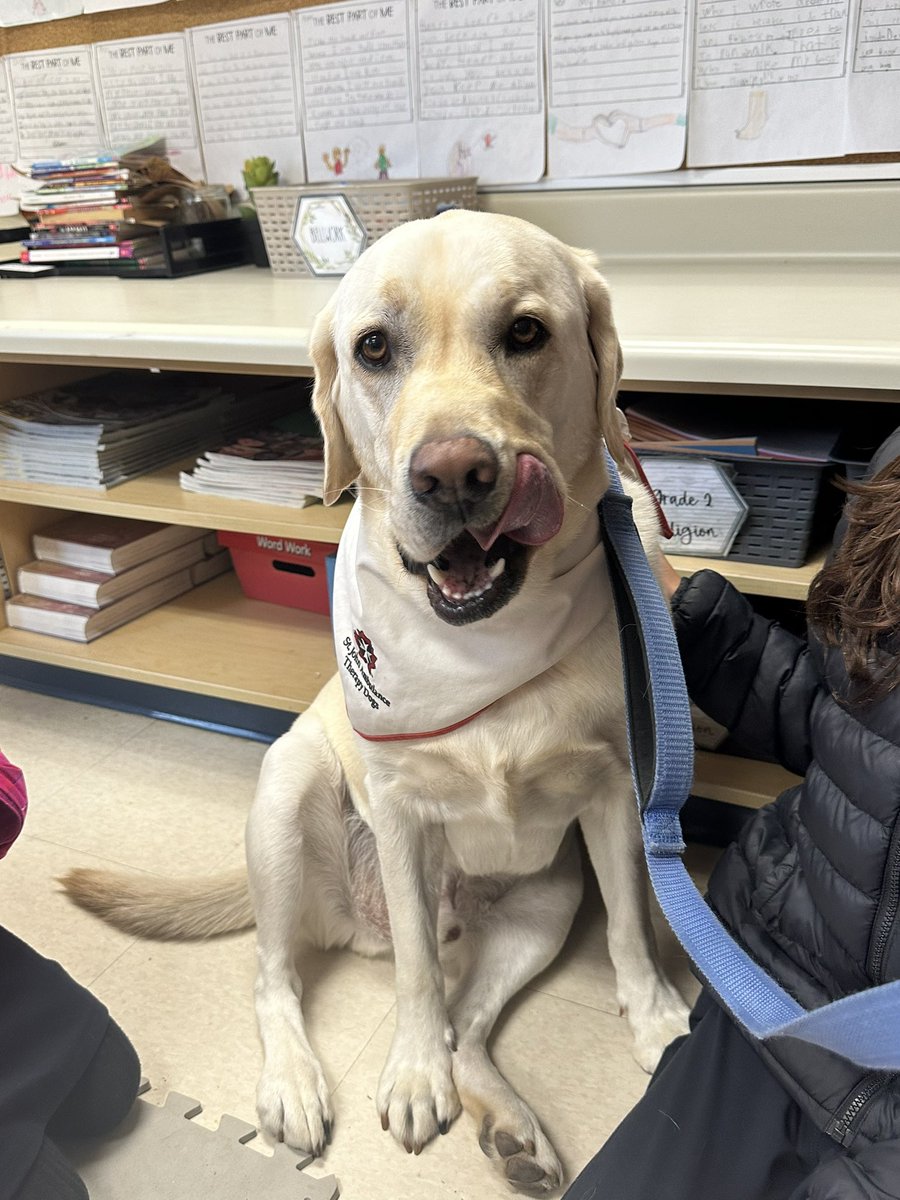 HAPPY BIRTHDAY MOOSE! 🥳🦴 <a href="/GAngelsMilton/">Guardian Angels</a> is so thankful for your love and support! Enjoy your 5th birthday 🎂