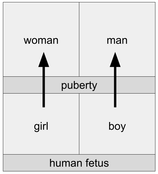 rorybowman's tweet photo. @benryanwriter @CNN Let's NEVER use the prefix "trans" with these nouns, because it erodes our ability to think and confuses the inattentive.

https://t.co/TJ9hmJsMn5

Every human language has simple and clear words for humans and four words for types of humans by sex and age.

#NotComplicated https://t.co/wfJsxYOsm8