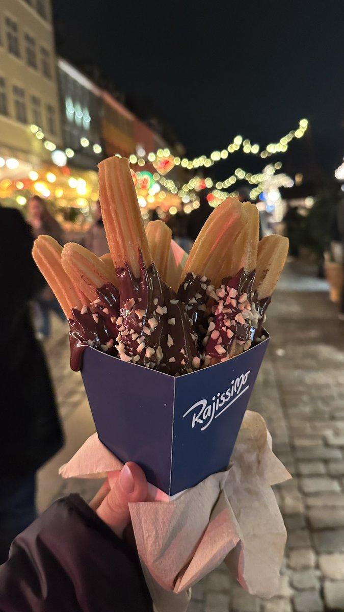 Copenhagen is already glowing with Christmas magic🤎🤎✨🦌✨✨