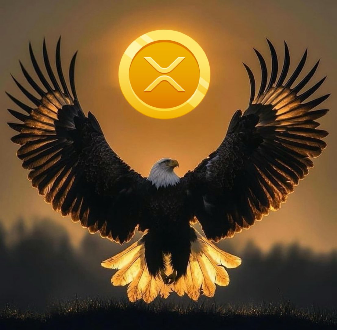 Amonyx tweet media