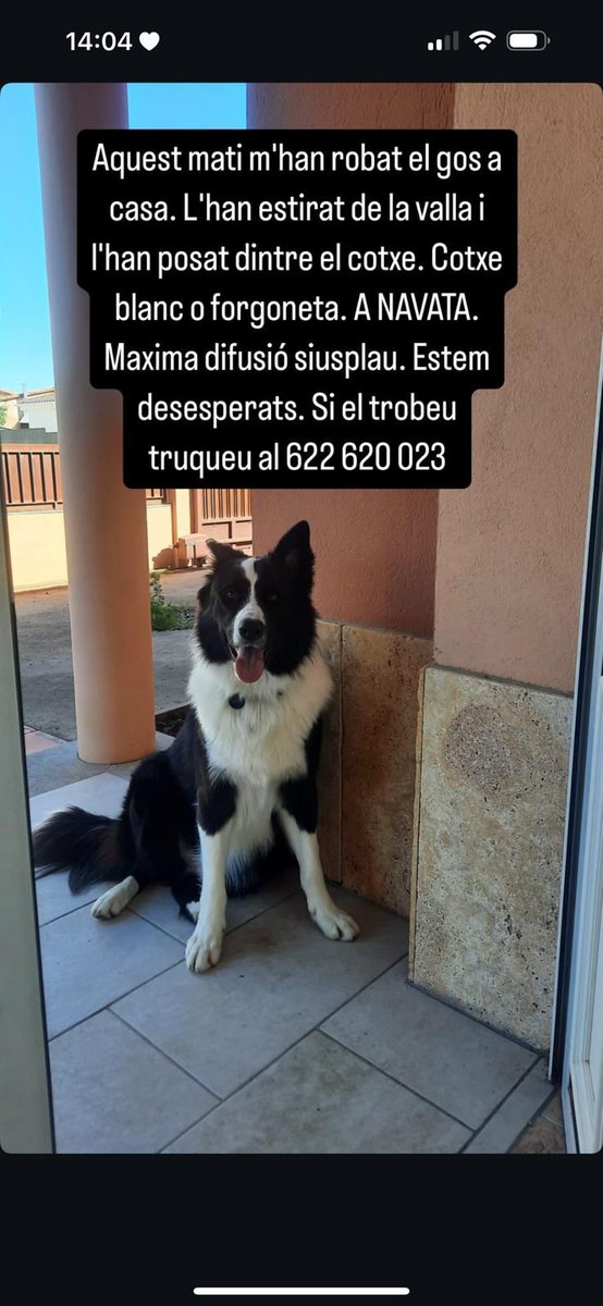 ManelSegura1's tweet image. És aquest: