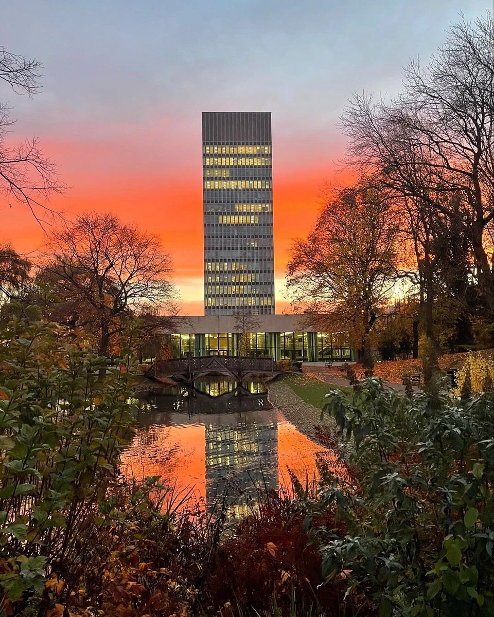 VisitSheffield's tweet photo. Nature paying tribute with an apt poppy-red sky this morning for #ArmisticeDay.

Absolutely beautiful sunrise captured at 7am against the Arts Tower @sheffielduni. 
📸 IG: birdy_rattlers18 🌇 https://t.co/D6s5TA8SnN