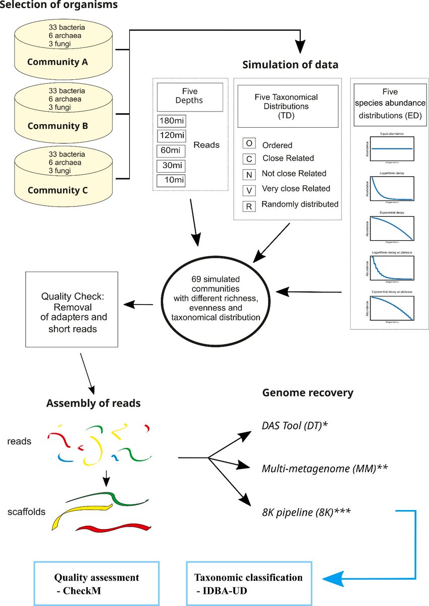 Dr. Ulisses Rocha (he/they) tweet media