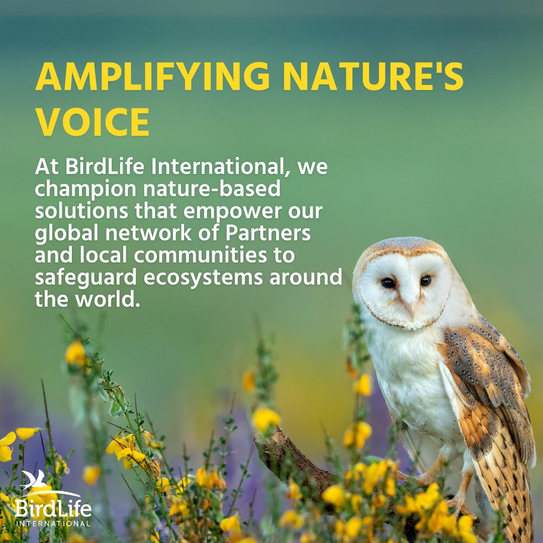 Why care at all? ❓

You have heard the word COP numerous times by now, so why does this new COP29 meeting matter? 🦉

Taking place this week in Azerbaijan, COP29 is vital to tackling climate change for nature and people. 🌎

Decisions will shape our future, but we must continue