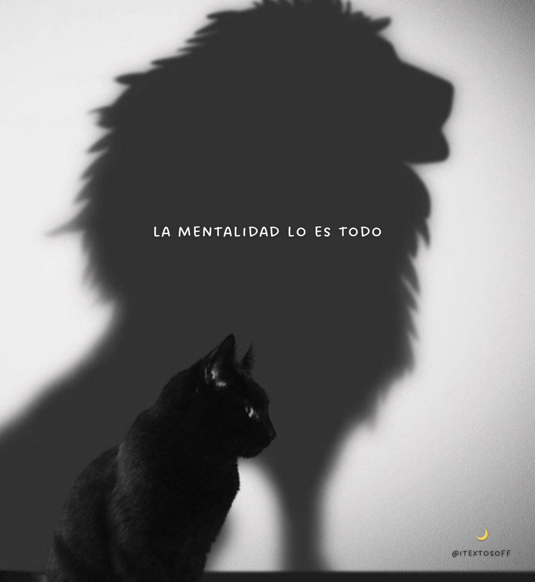 🌙 mini textos (@soyminitextos) on Twitter photo 