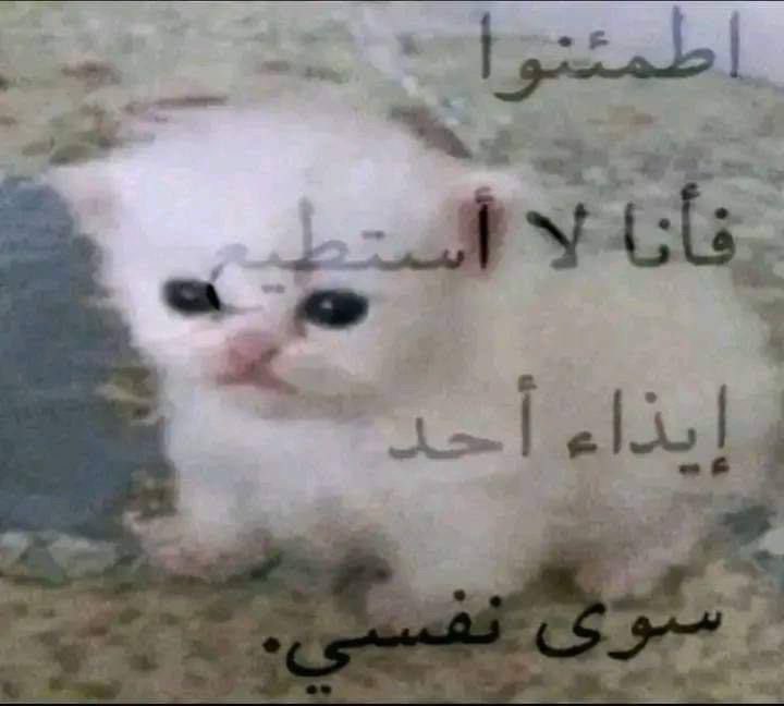 والله اني دمرت روحي بروحي tweet media