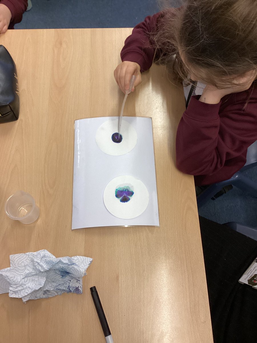 StMary of the Angels tweet media