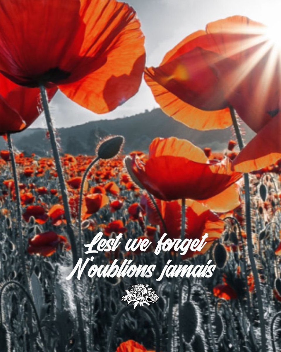 Remembering the sacrifices of others today.
Nous nous souvenons aujourd'hui des sacrifices des autres.
