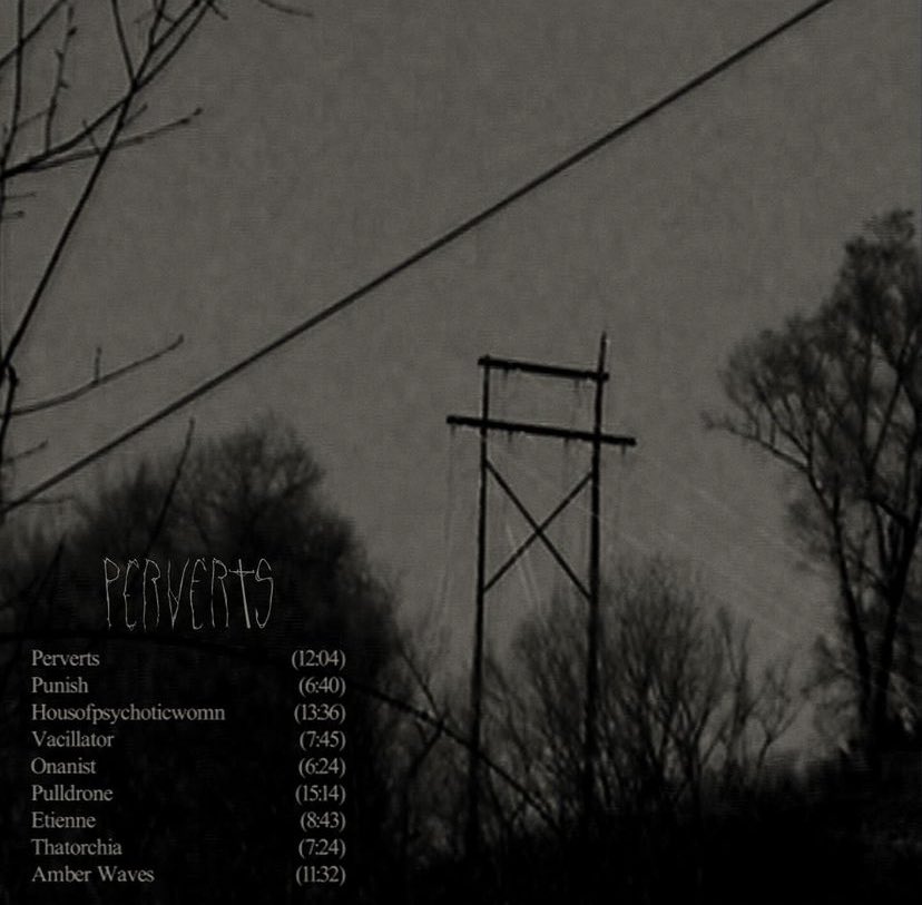 ethelfiles's tweet photo. perverts by ethel cain tracklist! https://t.co/i7GNgdbQnm