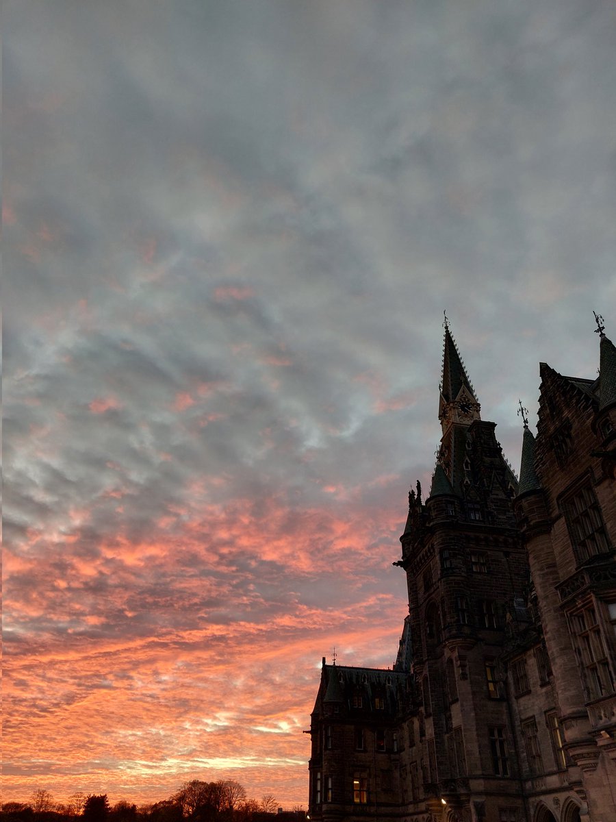 Fettes Humanities tweet media