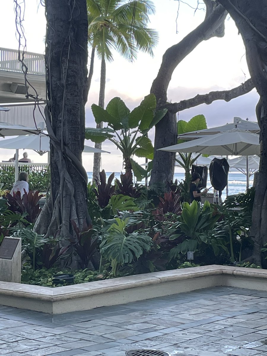 Tim Cook tweet media