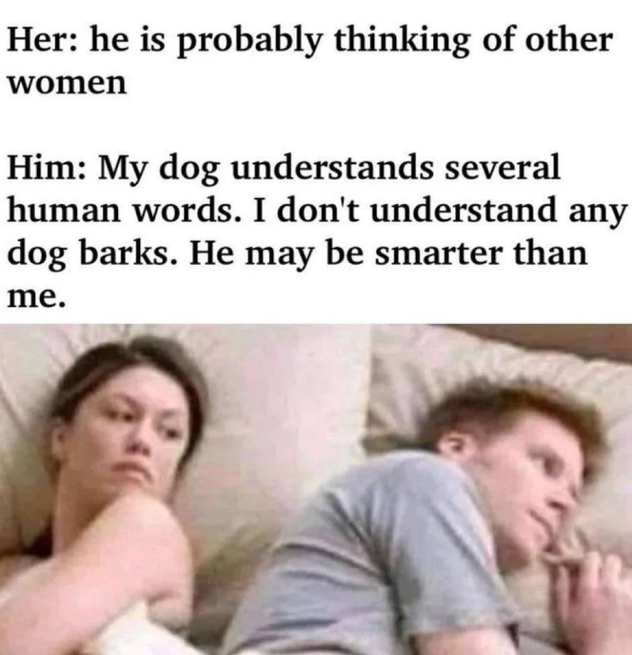 WholesomeMemes (@wholesomememe) on Twitter photo 