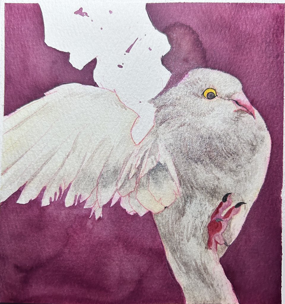 坑人秀 tweet media