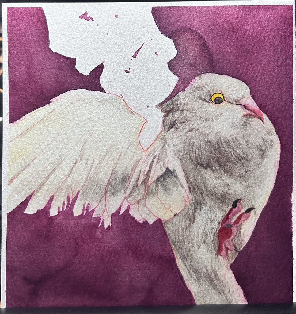 坑人秀 tweet media