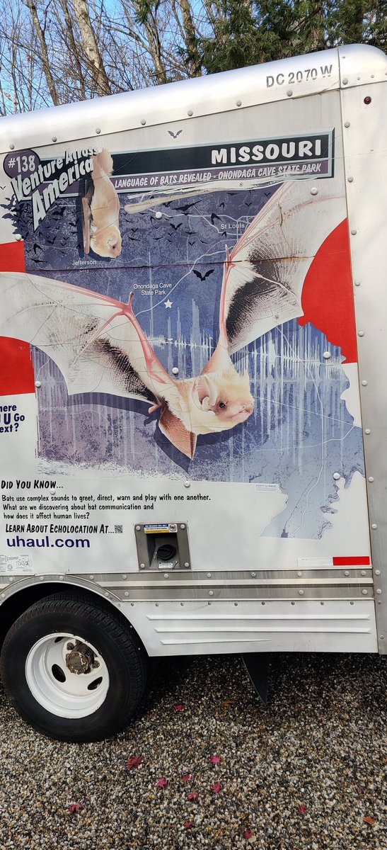 Of course I thought of <a href="/sarahkendzior/">Sarah Kendzior</a>.