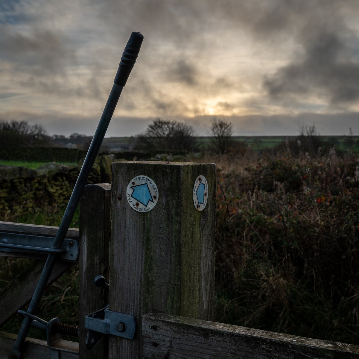 Evening on High Bank
