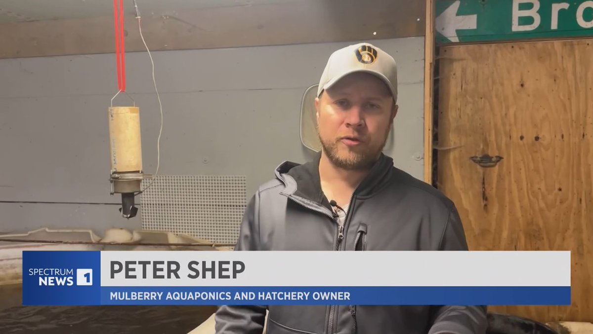 Wisconsin #fish farming in the news: spectrumnews1.com/wi/milwaukee/n…. 

<a href="/UWiscSeaGrant/">Wisconsin Sea Grant</a> 
<a href="/SpectrumNews1WI/">Spectrum News 1 Wisconsin</a>