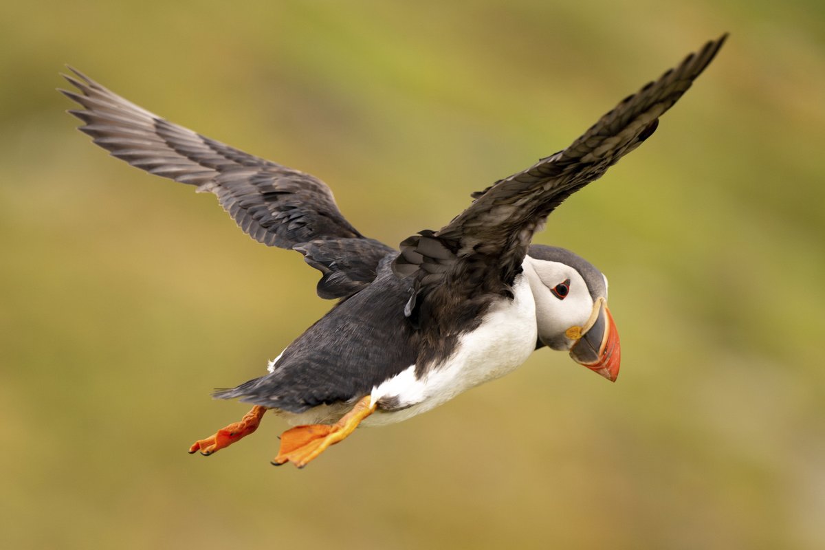 📢<a href="/Keir_Starmer/">Keir Starmer</a>, as you head to #COP29, it’s time for the UK to lead with bold action on nature and climate. 

We need urgent financial commitments, support for vulnerable nations, and accountability for polluters.  

Show the world true climate leadership.