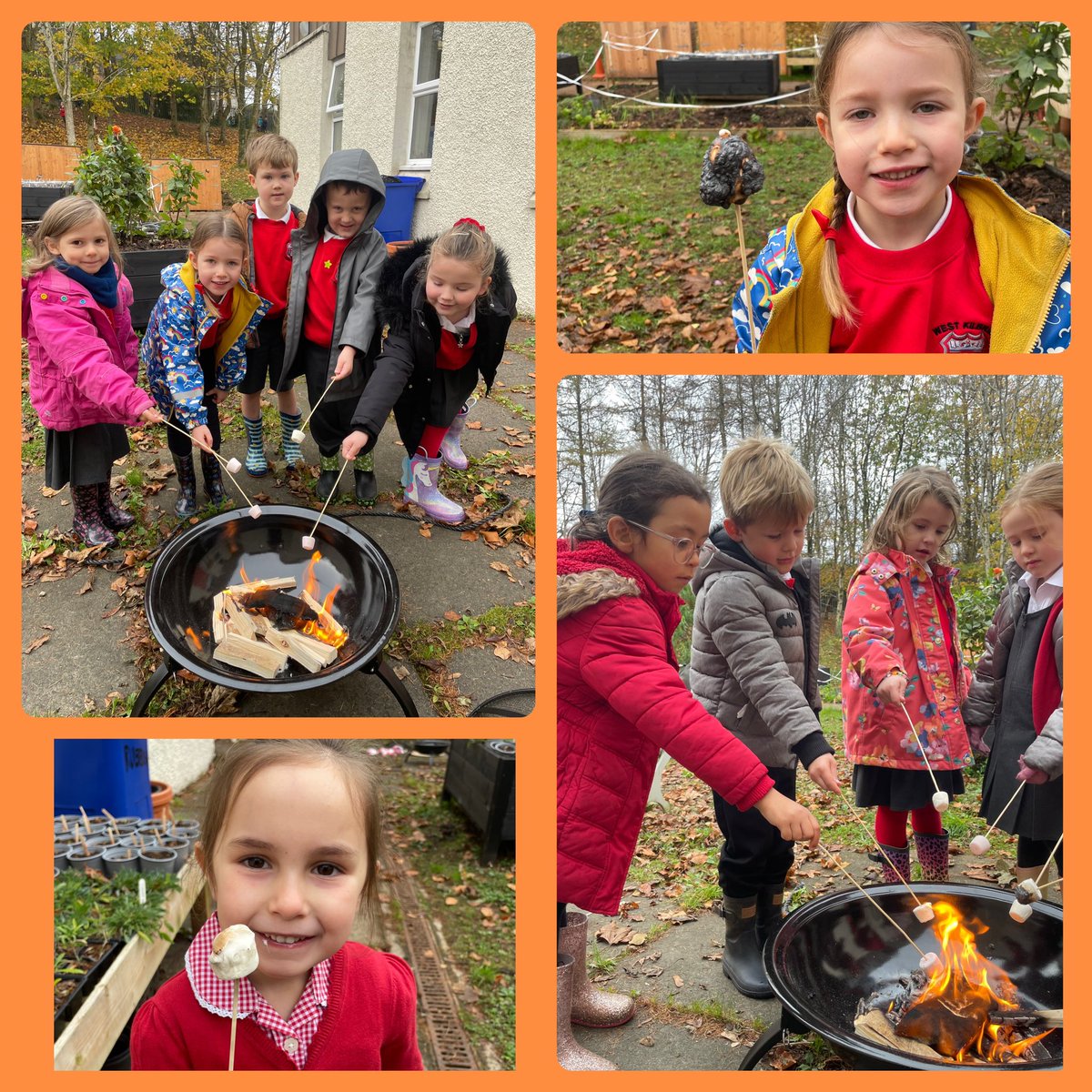 Primary 1 have been learning about the fire triangle and fire safety, and enjoyed roasting some marshmallows today! 🔥 #WKPSvaluesoutdoorlearning #WKPSvaluesfiresafety