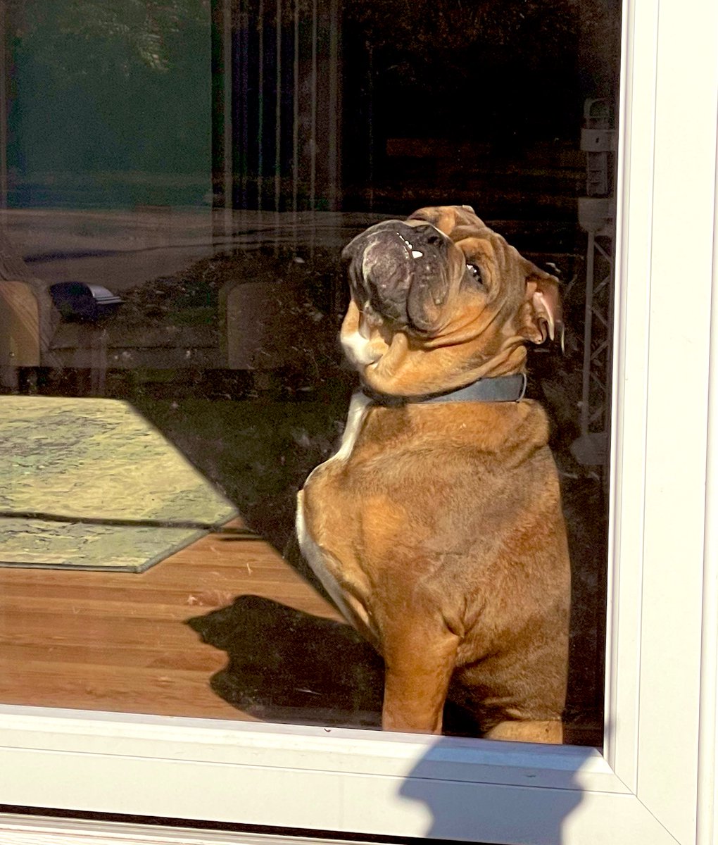 Playing BO6 for funzies live rn

Twitch.tv/AlexNung