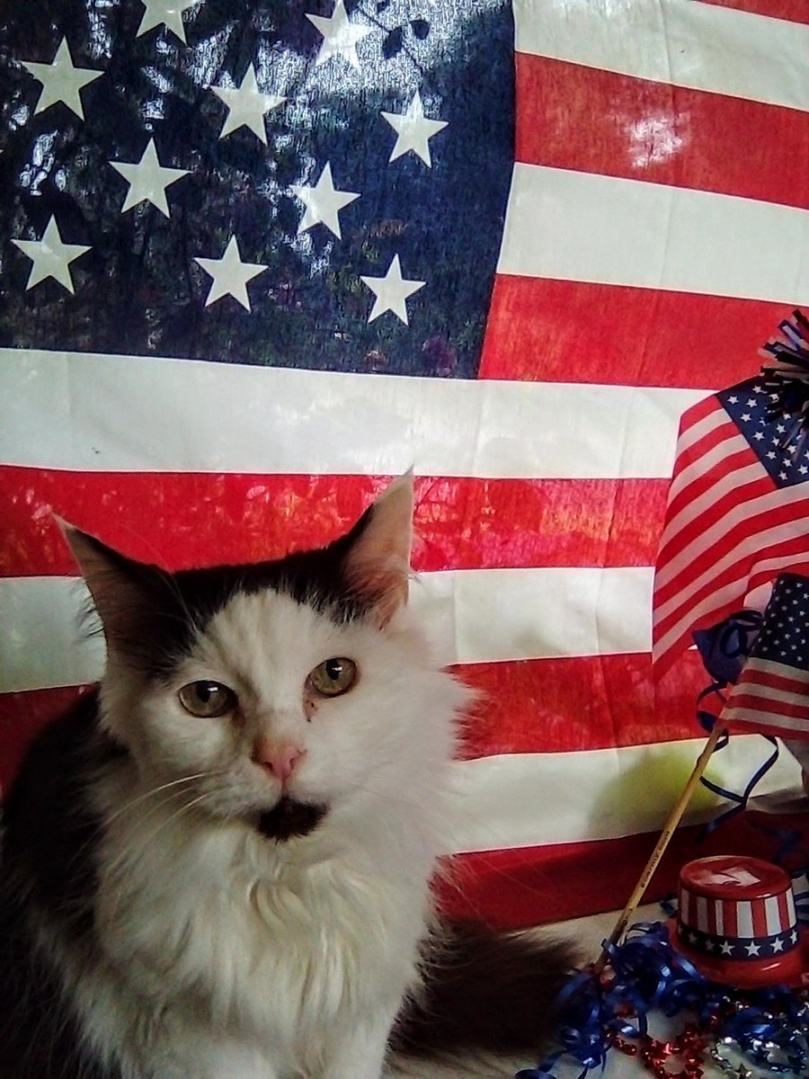 It is with a heavy heart that I must tell you that a great patriot Somora passed away 🌈🌈🌈
You were all good friends to us 💖 We will miss her like crazy 💔💔💔 
Muchos Loves💋