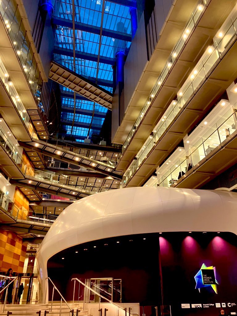 Hanya Mahmood (@hanyamahmood) on Twitter photo Really enjoyed the first #telonet meeting at <a href="/TheCrick/">The Francis Crick Institute</a> today. Stimulating discussions about Telomere Biology Disorders and research to improve awareness and early diagnosis of such rare diseases - with <a href="/DC_Action/">DC Action</a> <a href="/fanconihope/">Fanconi Hope</a> <a href="/GeneticAll_UK/">Genetic Alliance UK</a> Really enjoyed the first #telonet meeting at <a href="/TheCrick/">The Francis Crick Institute</a> today. Stimulating discussions about Telomere Biology Disorders and research to improve awareness and early diagnosis of such rare diseases - with <a href="/DC_Action/">DC Action</a> <a href="/fanconihope/">Fanconi Hope</a> <a href="/GeneticAll_UK/">Genetic Alliance UK</a>