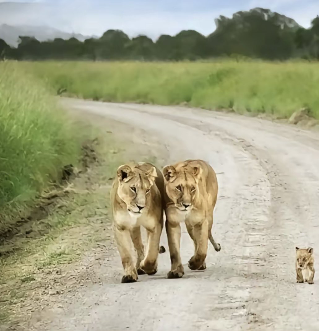 samsmile tweet media