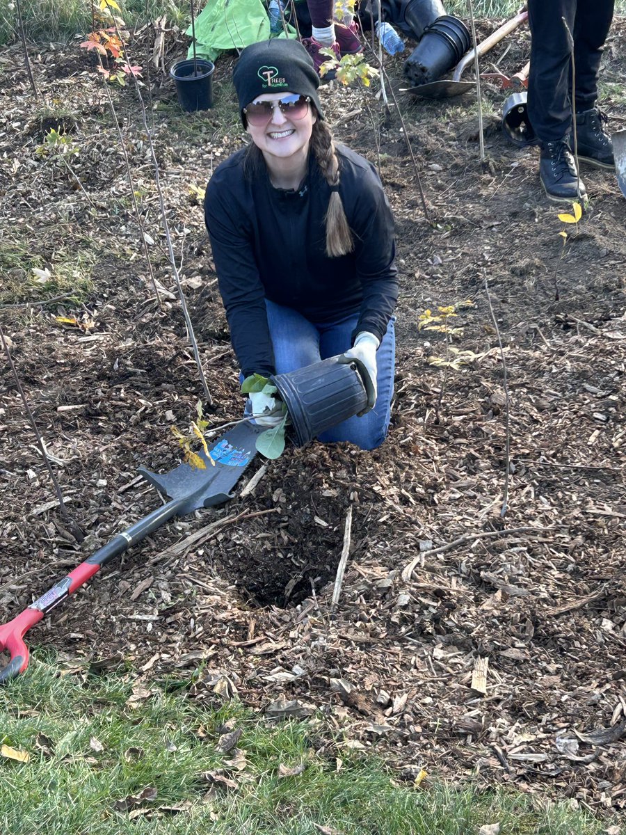 Trees for Hamilton tweet media