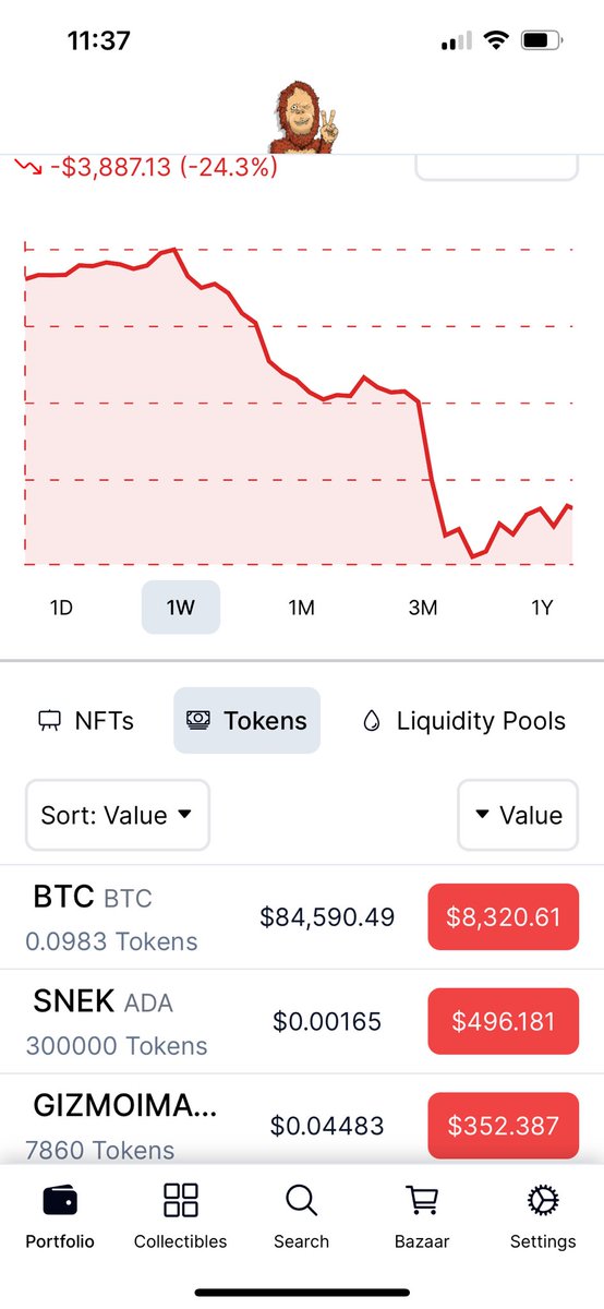 Wild Tangz tweet media