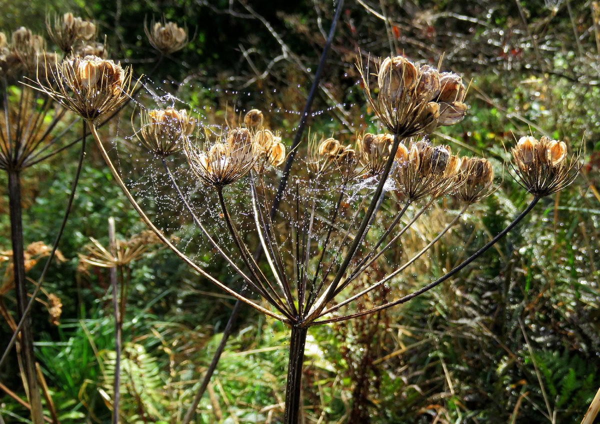 Brian Craig tweet media