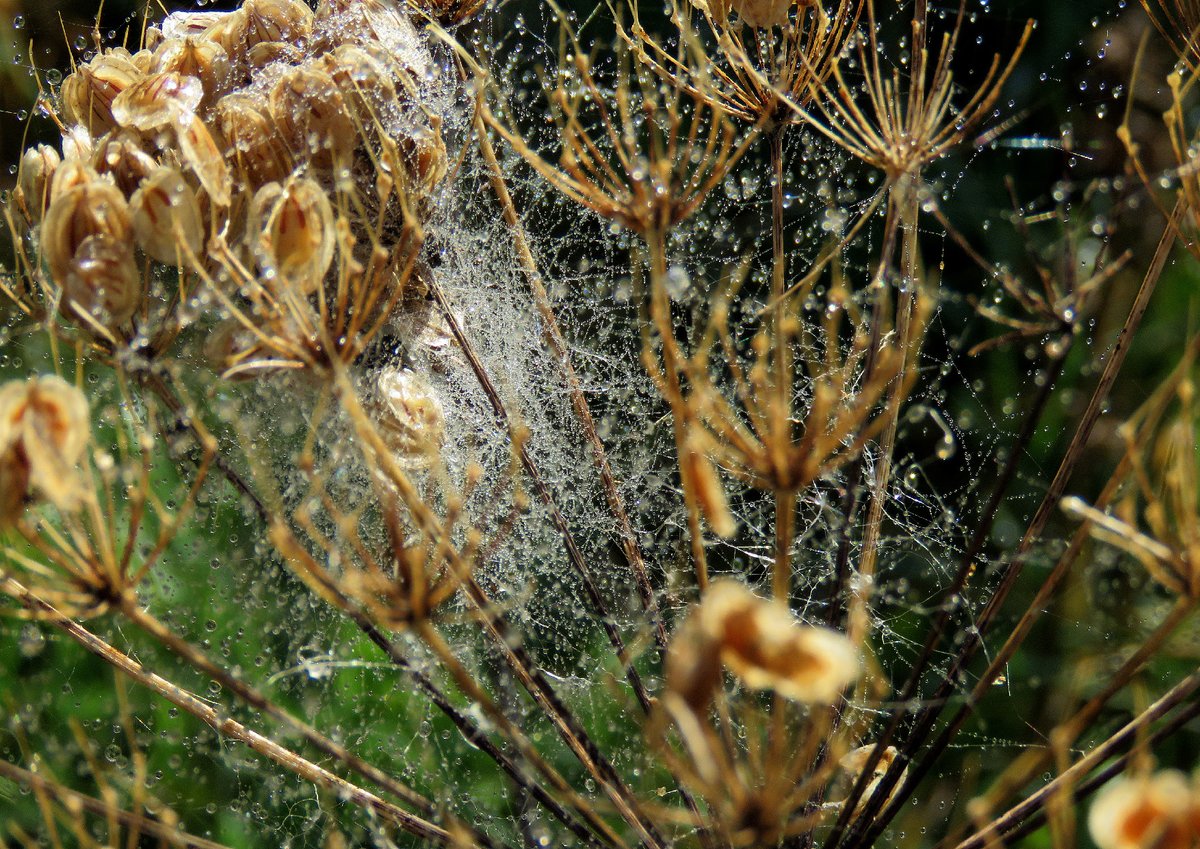 Brian Craig tweet media