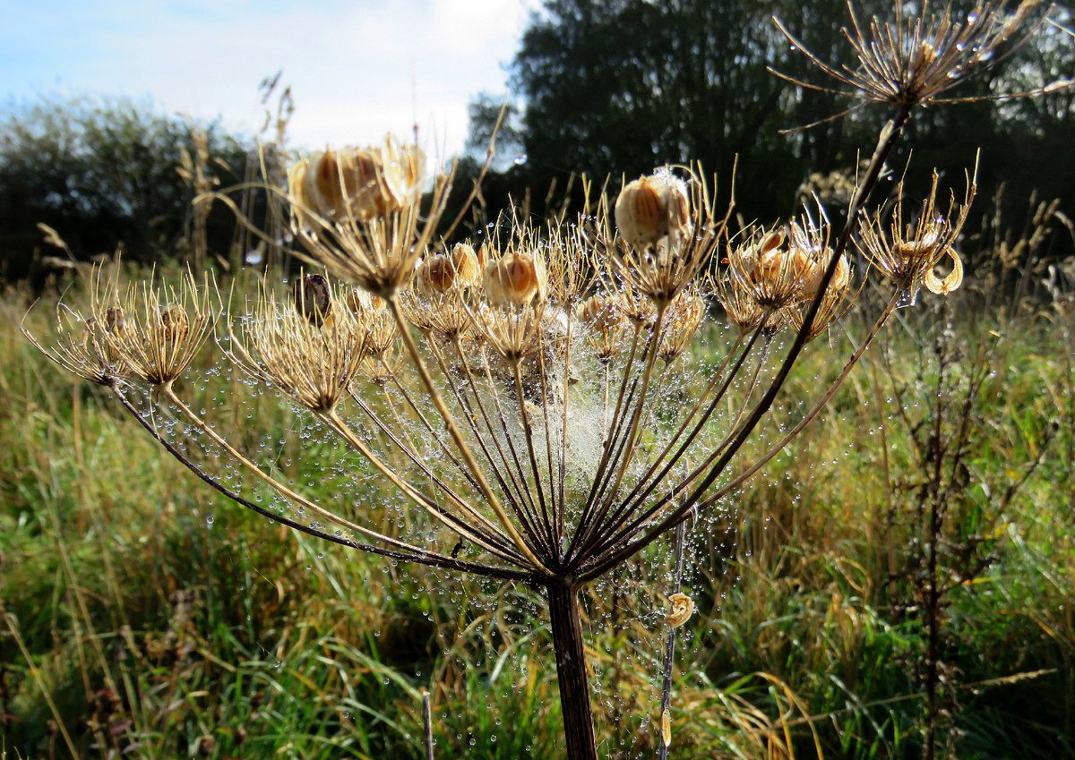 Brian Craig tweet media