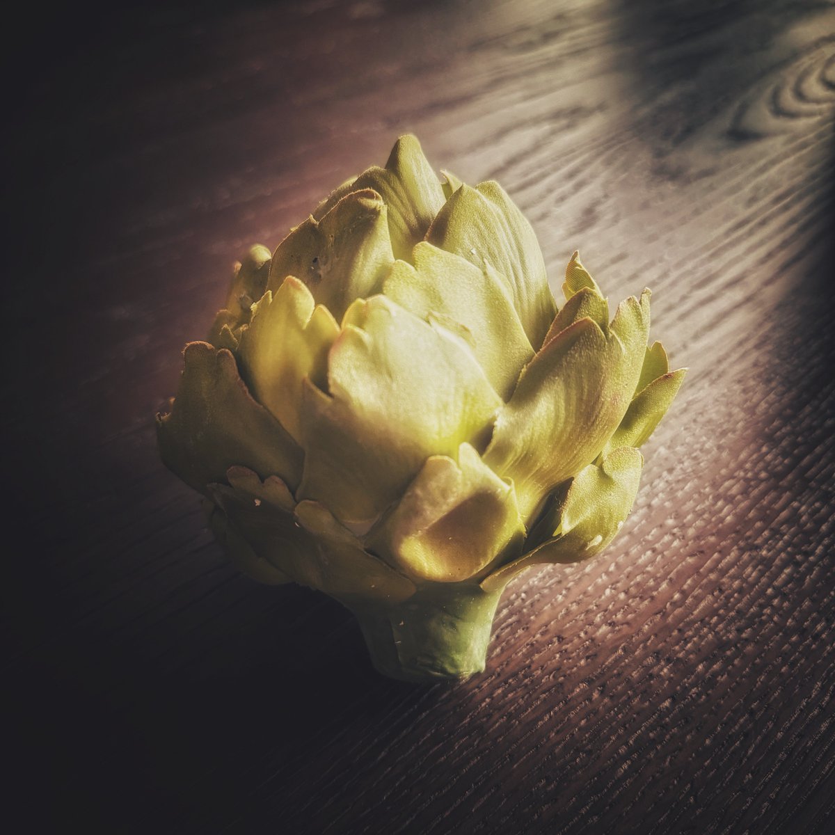 Greg Gerla 🇨🇦 tweet media