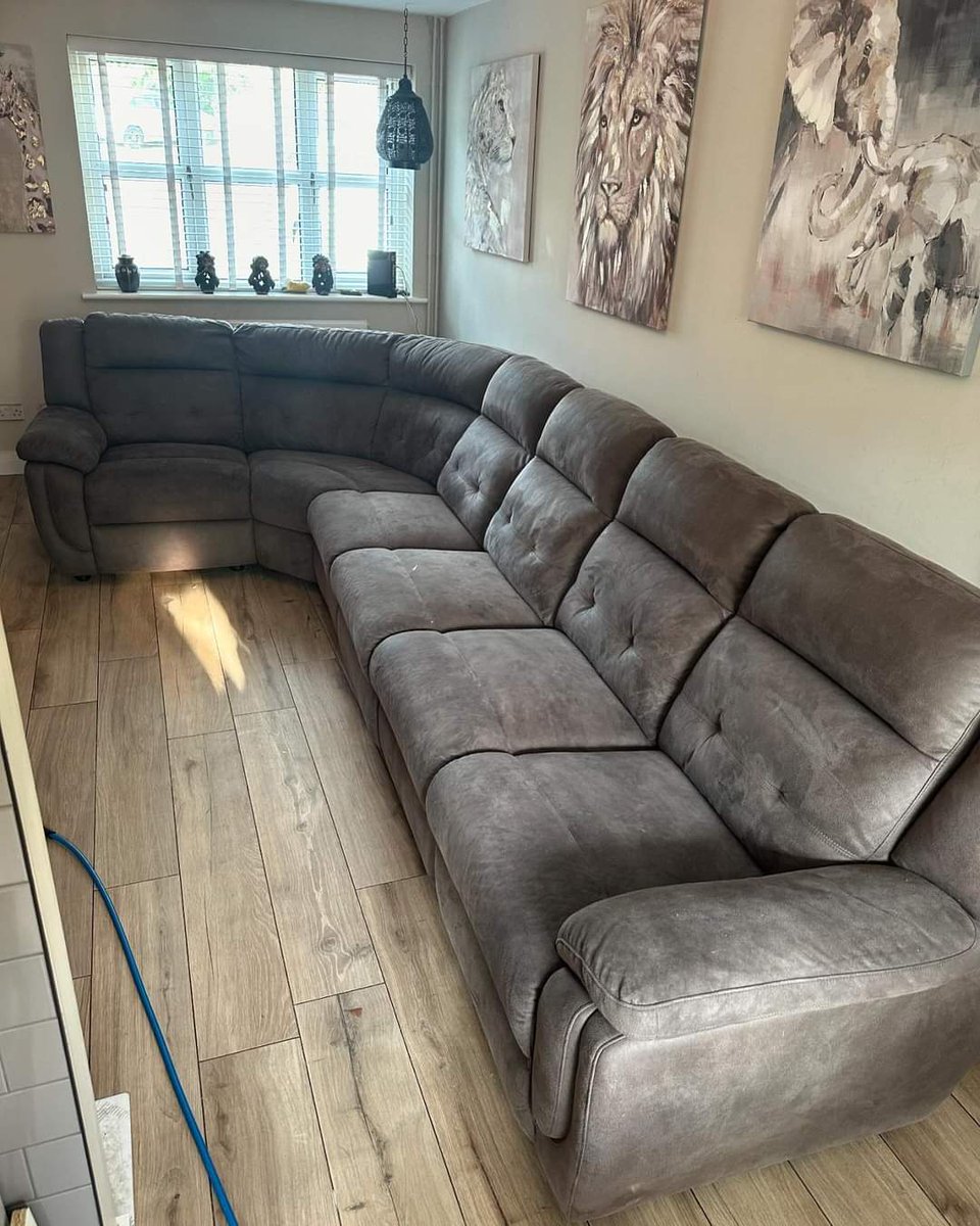 Pro Clean Carpet Services tweet media