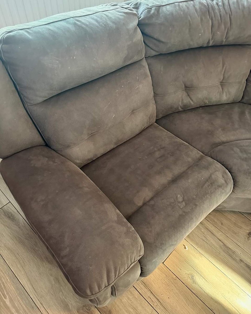 Pro Clean Carpet Services tweet media